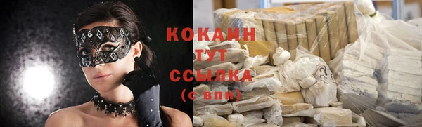 сатива Белокуриха
