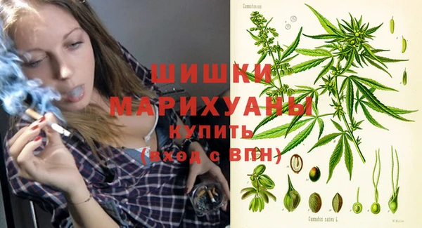 сатива Белокуриха