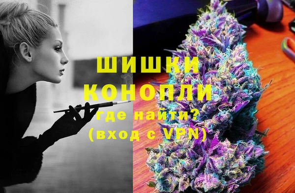 сатива Белокуриха