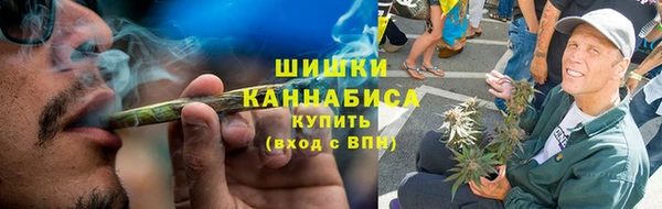 сатива Белокуриха