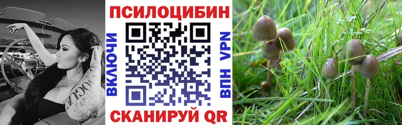 Галлюциногенные грибы Cubensis  Купить закладки  Тбилисская 